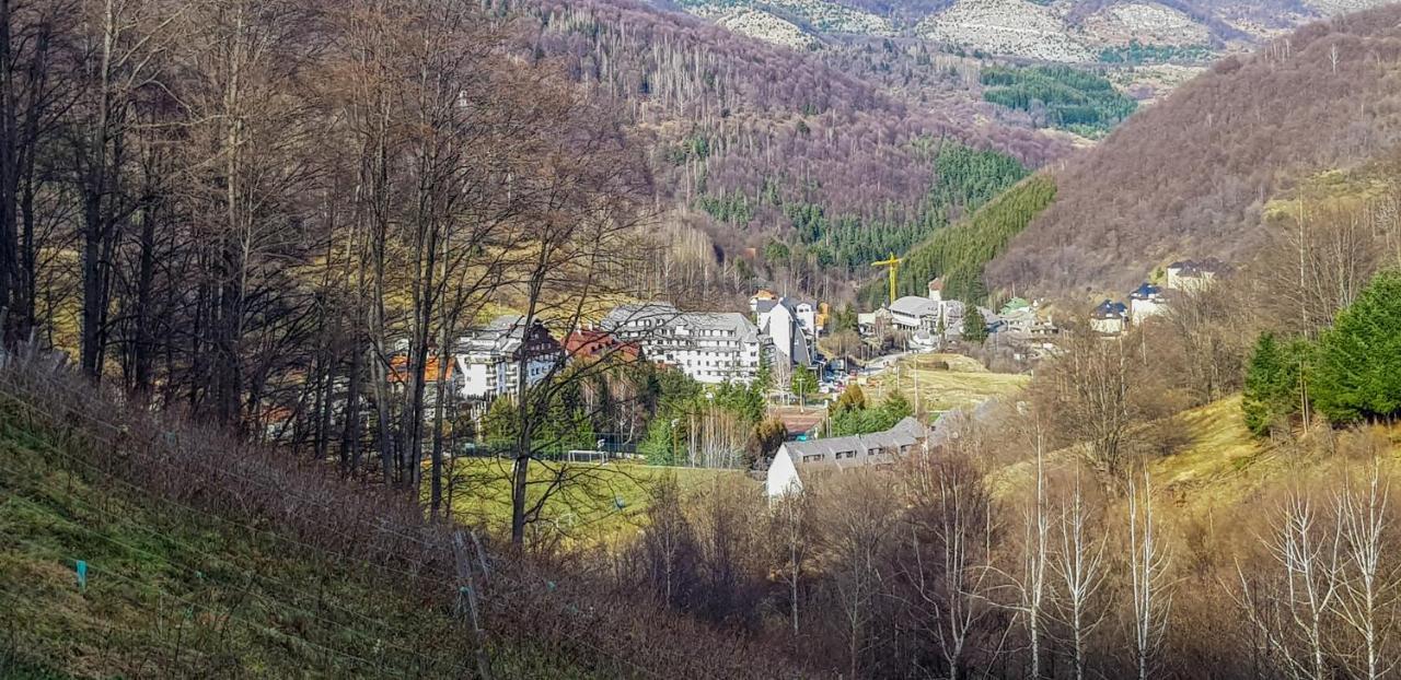Apartman Cvejic - Suncani Apartmani Brzeće Dış mekan fotoğraf